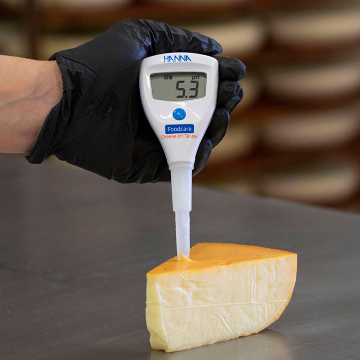 MEDIDOR DE pH PARA QUESO HI981032 HANNA - Imagen 3