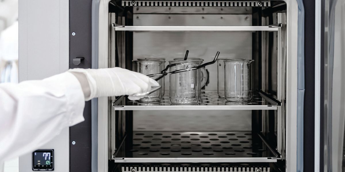 Diferencias entre Horno, Incubadora, Estufa y Esterilizador de Laboratorio: Una Guía Completa